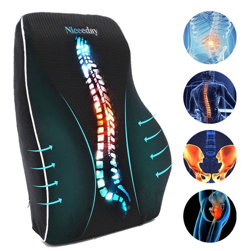 Lumbar back support - support, cushion